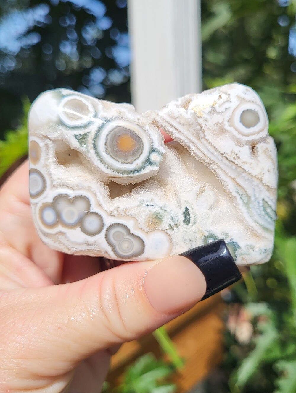 Druzy Filled 8th Vein Ocean Jasper Freeform